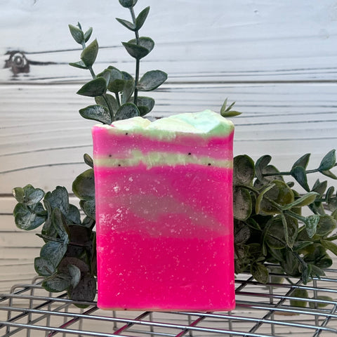 Watermelon Kiwi Bar Soap